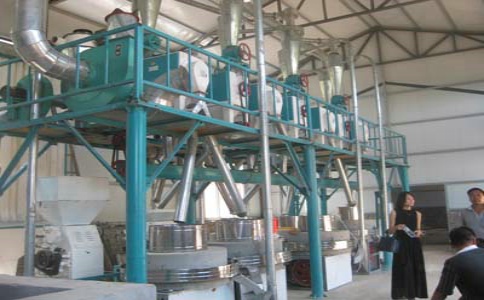 ʯĥ��ۻ���